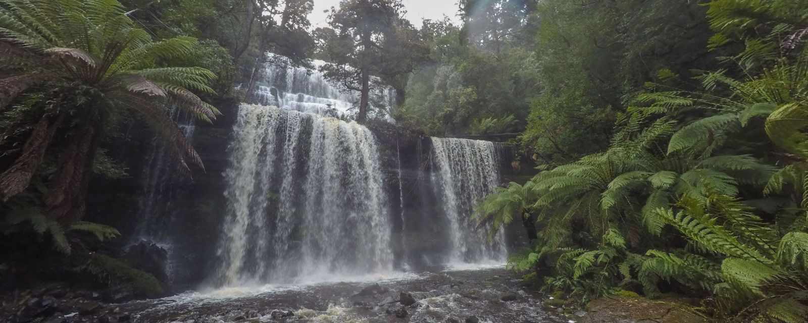 Russell Falls in the Mount Field National Park - Waterfalls, Hikes and Wildlife