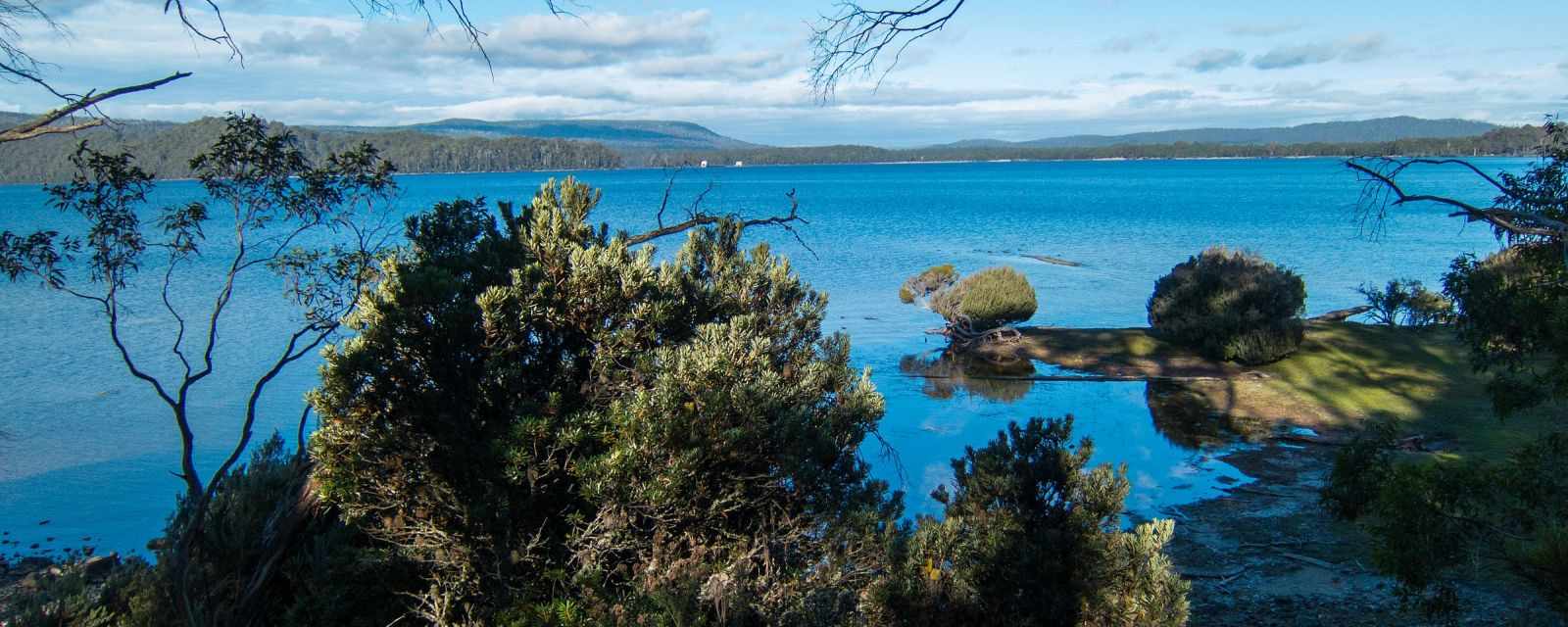 Lake St Clair Guide - Part of Cradle Mountain - 4 Hikes and Walks