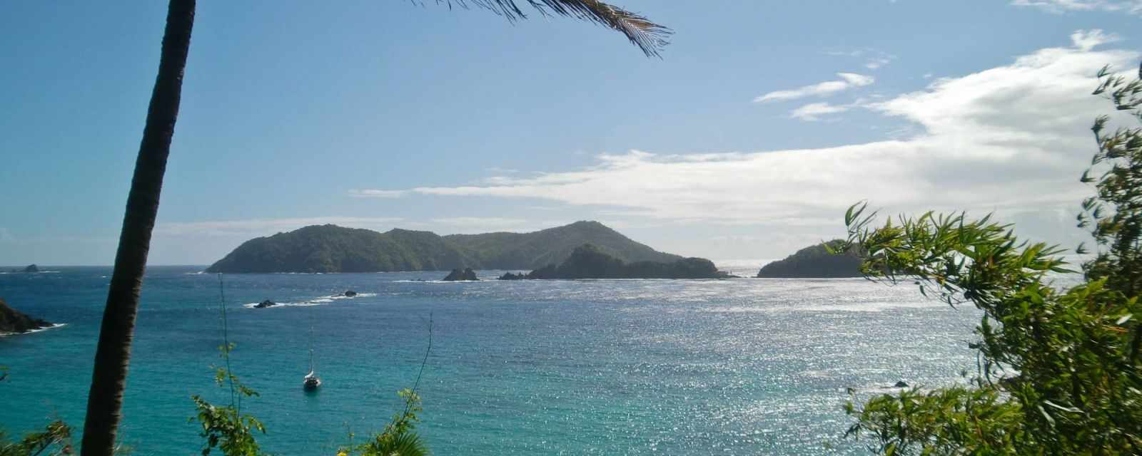 Little Tobago - Red-Billed Tropicbirds