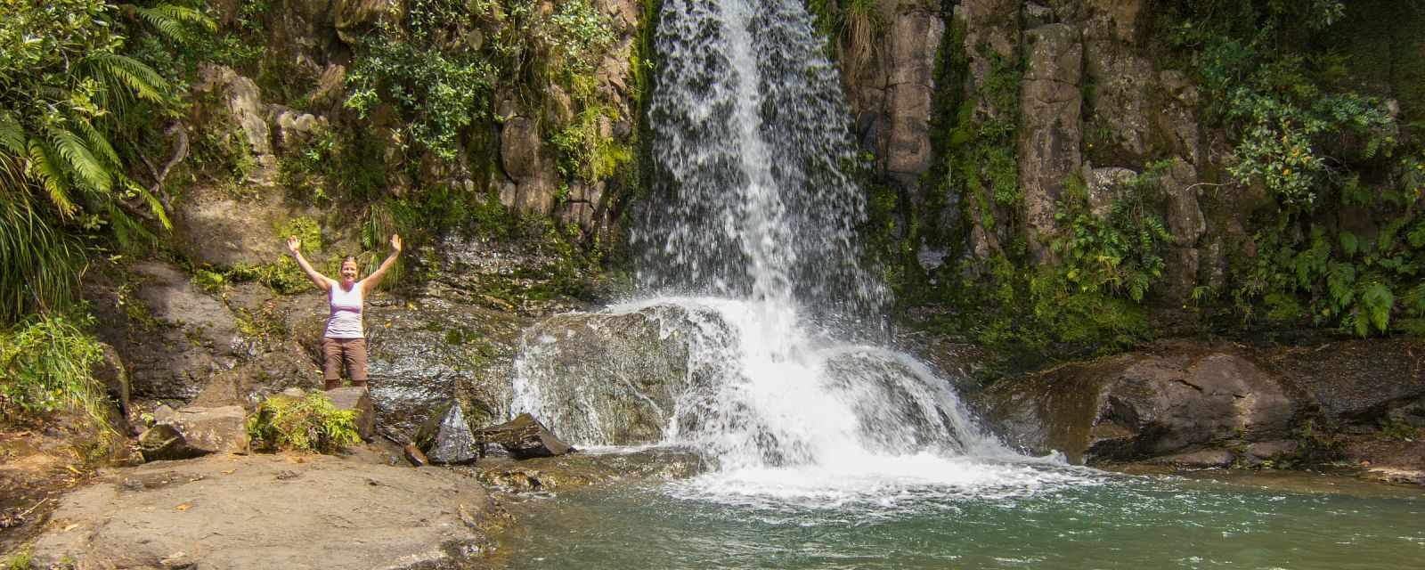 Waiau Kauri Grove and Falls on Coromandel