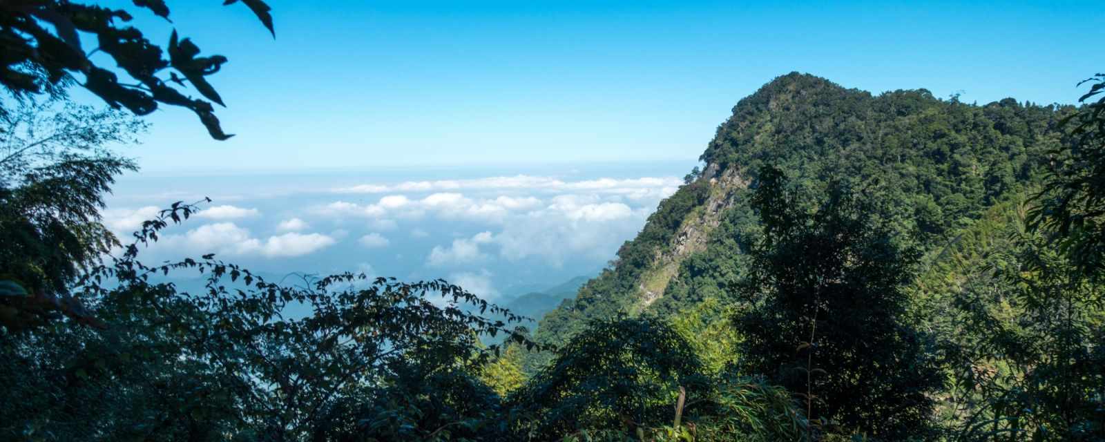 Xitou Nature Education Area - Bamboo Forest Loop Trail 