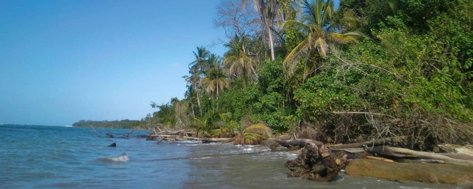 Cahuita National Park