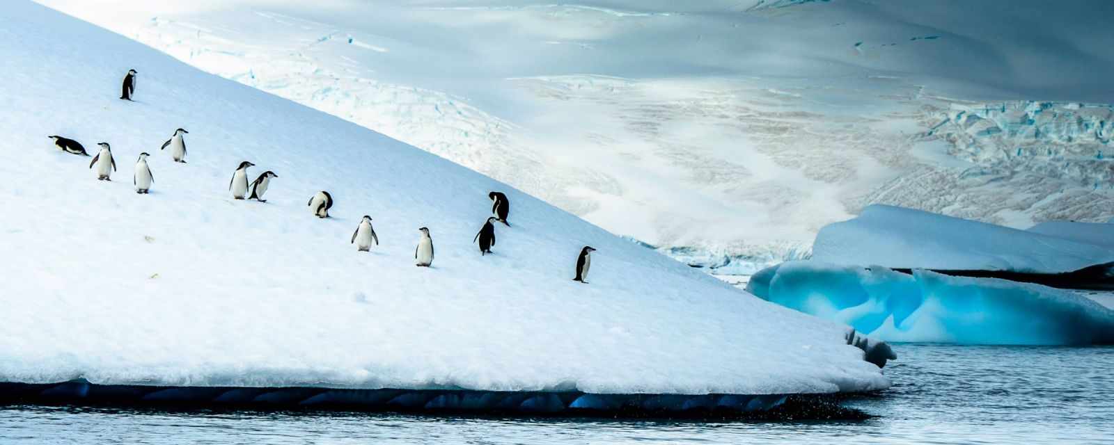 Discovering the Beautiful Antarctica in the Summer