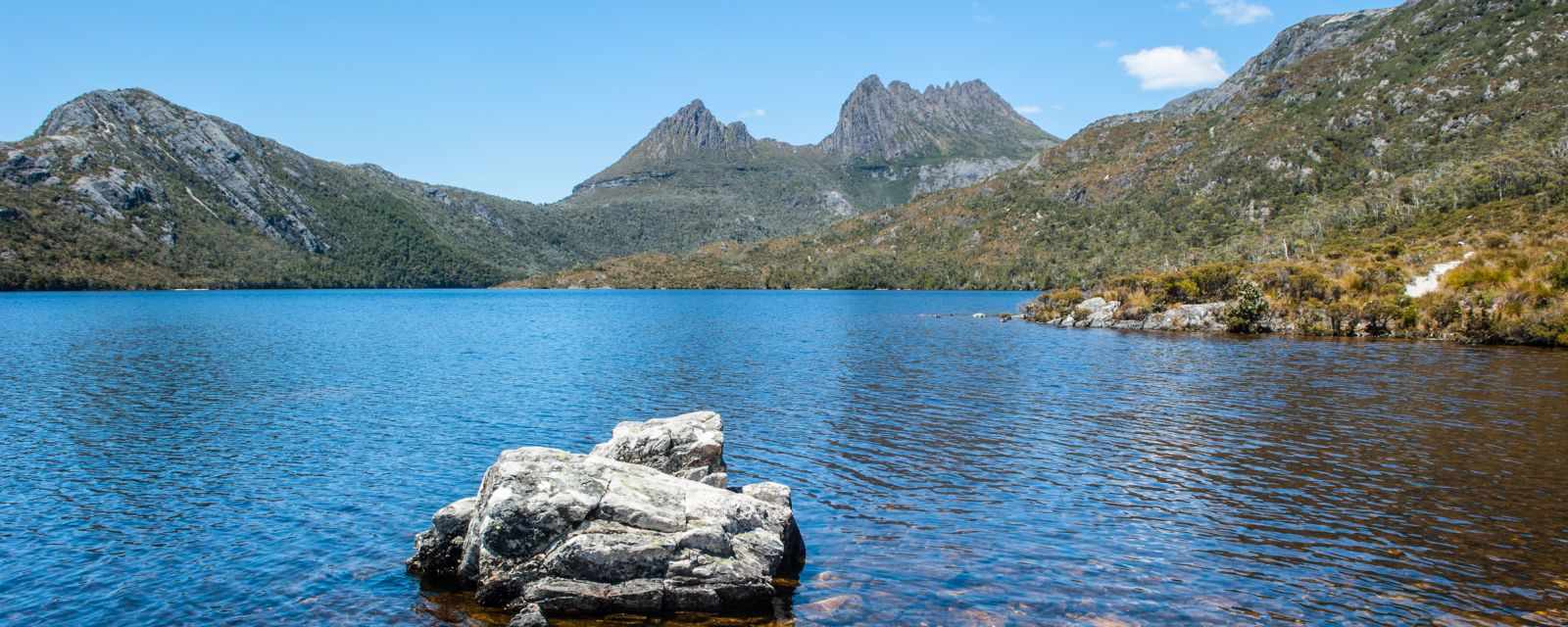 Cradle Mountain - 5 Hikes and Walks + Wildlife Guide