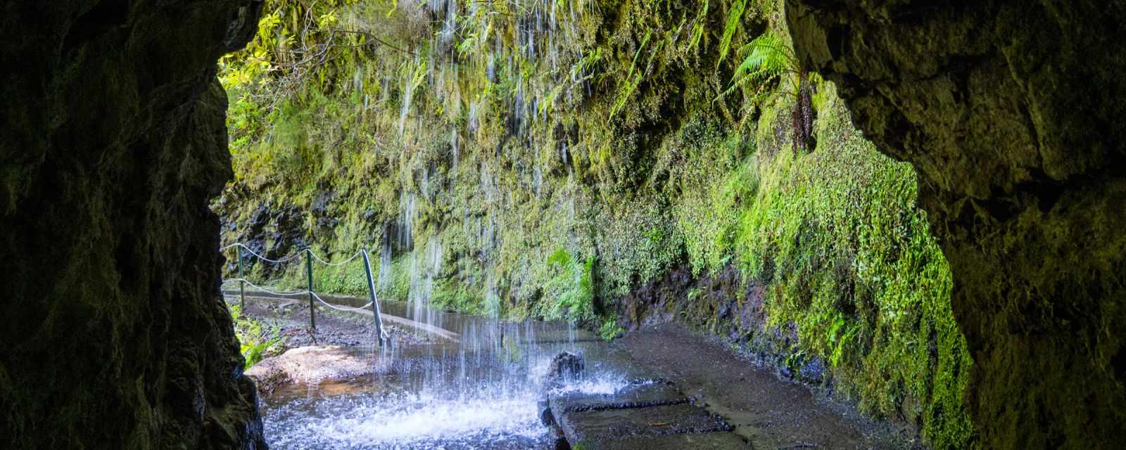 Levada do Caldeirao Verde and Inferno - Best Levada and Waterfall Hike in Madeira