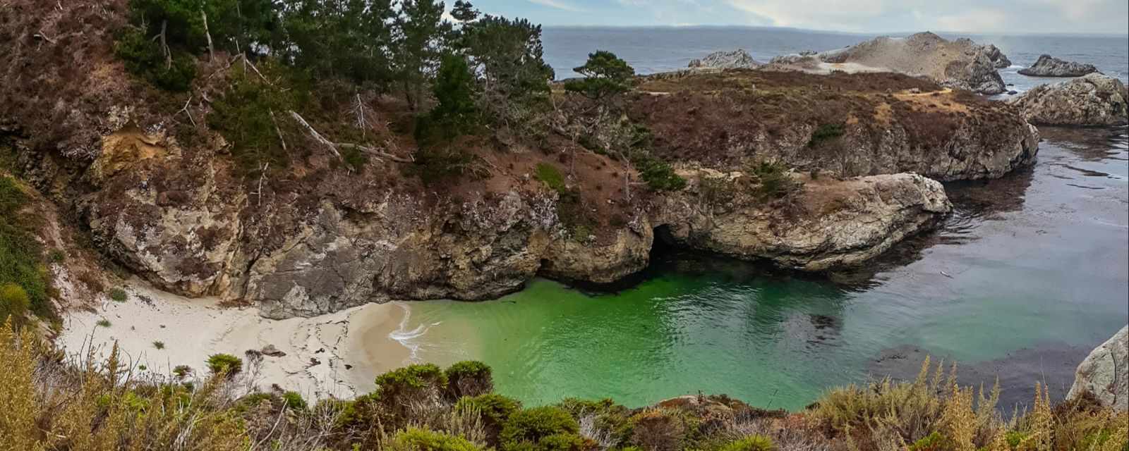 Point Lobos in Carmel - Hikes, Highlights, & Beaches