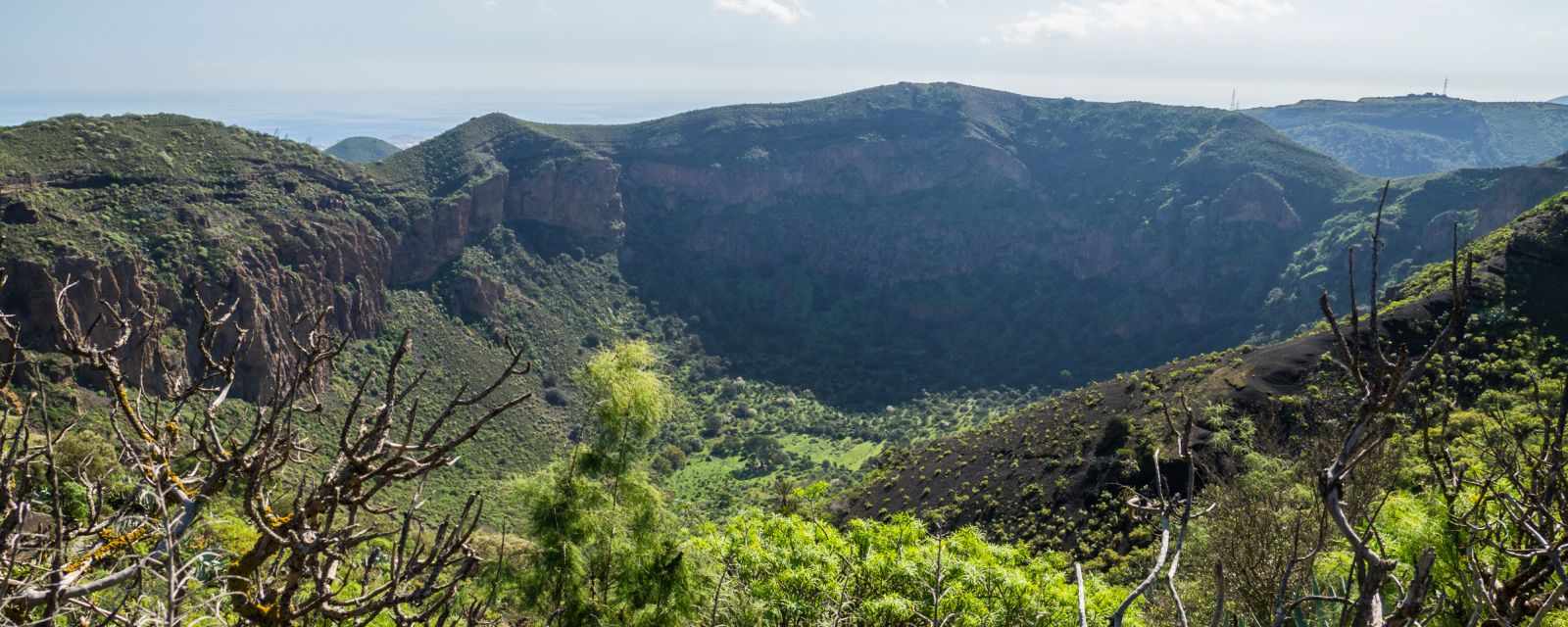 Hiking Tips for Caldera de Bandama in Gran Canaria