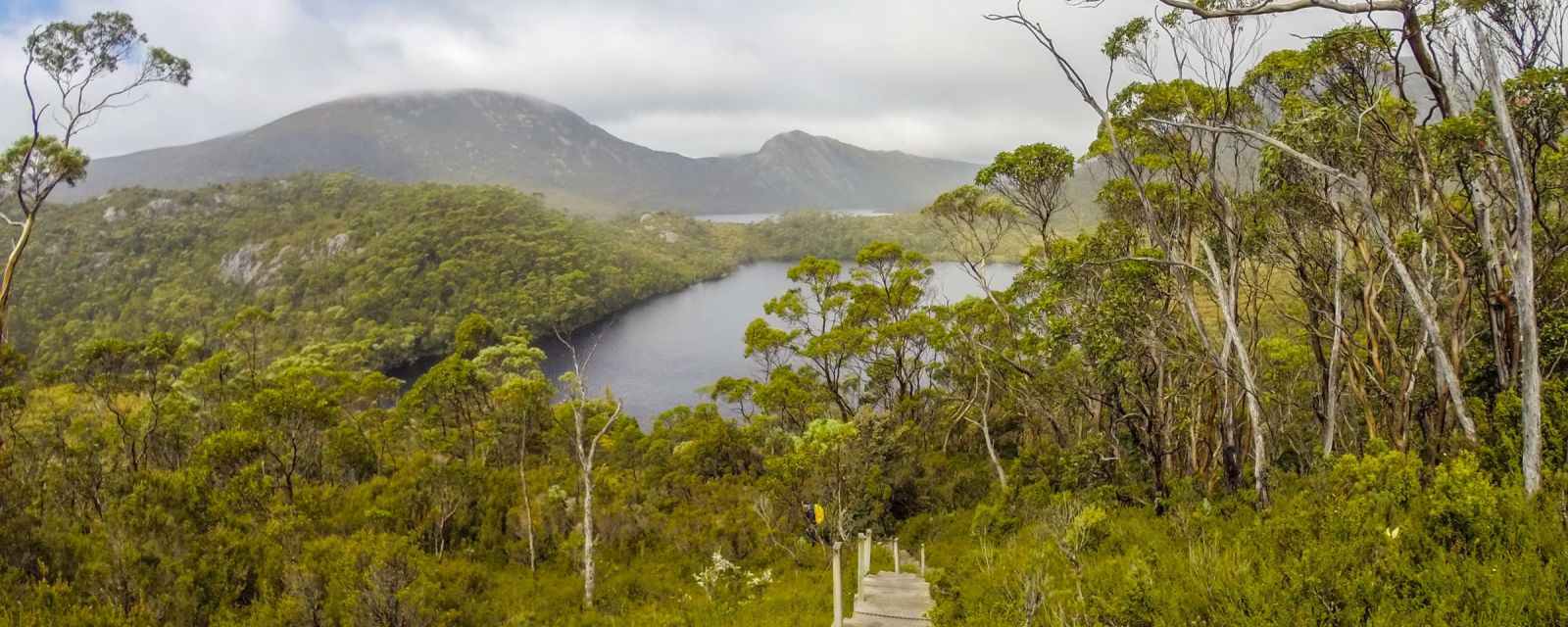 Cradle Mountain - 5 Hikes and Walks + Wildlife Guide - New Shuttle Bus Ticket