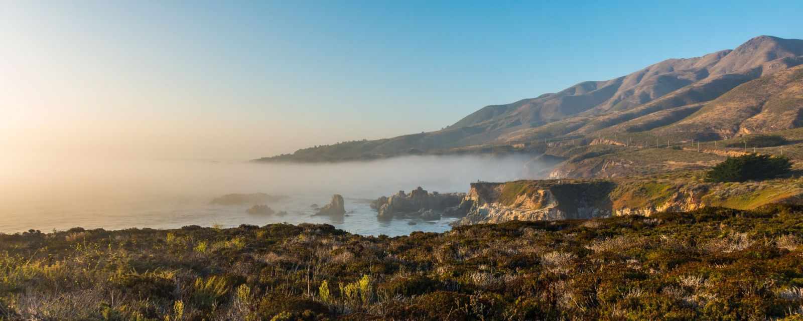 Garrapata State Park - The Jewel on HW 1