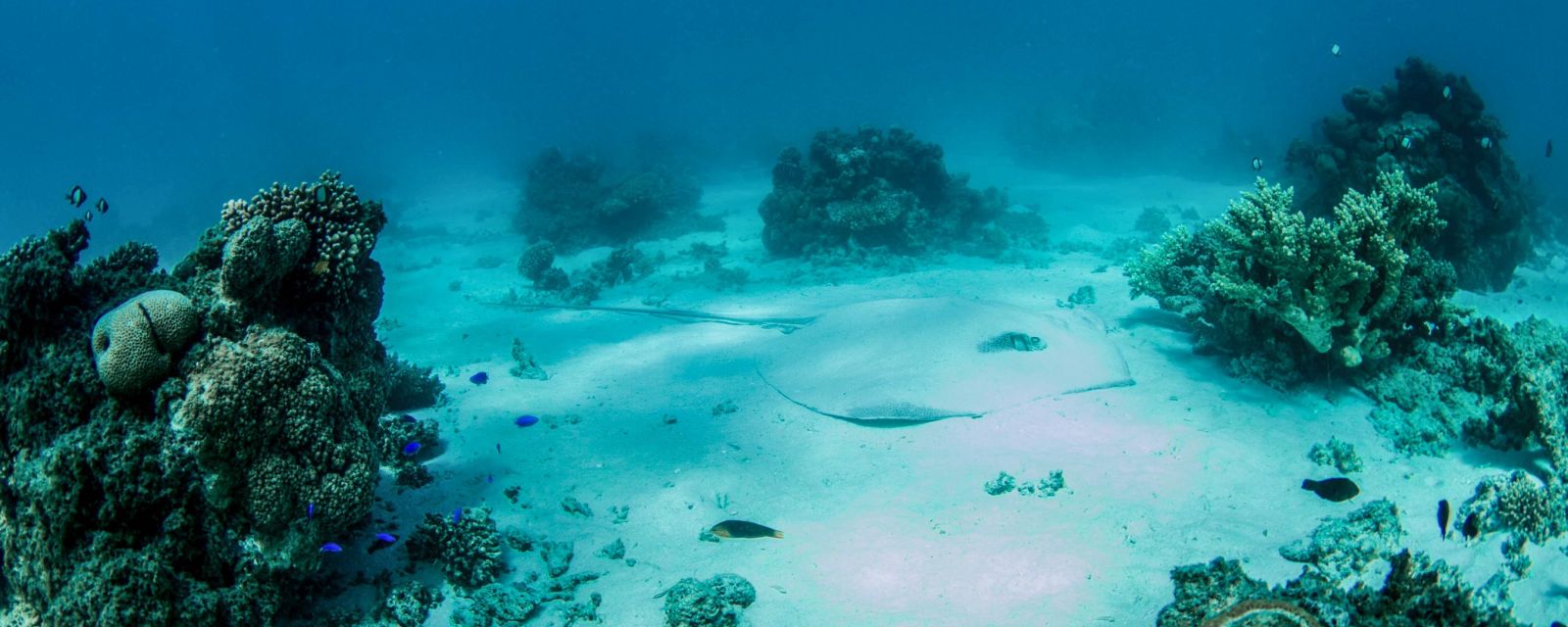 Oyster Stacks - Tide Times and Tips for Snorkeling at Ningaloo Reef