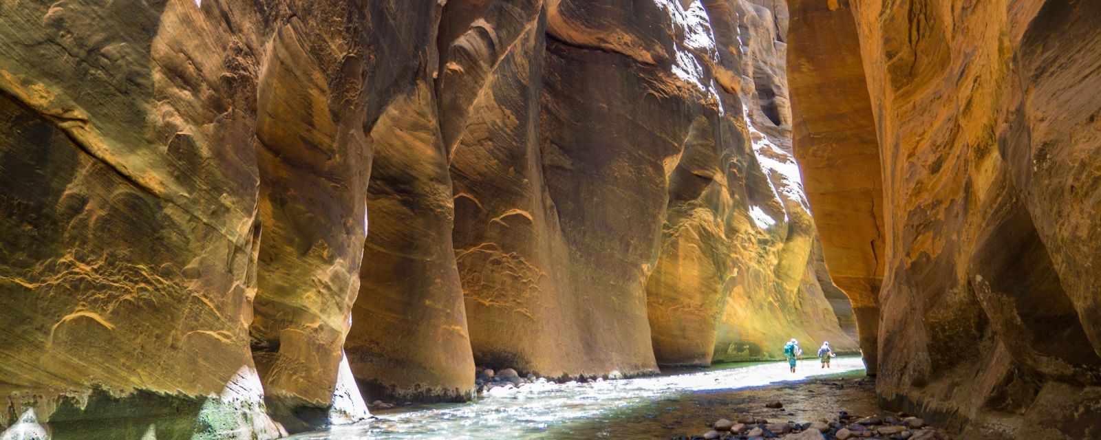 Zion Narrows Hike From Temple of Sinawava – Detailed Season Guide