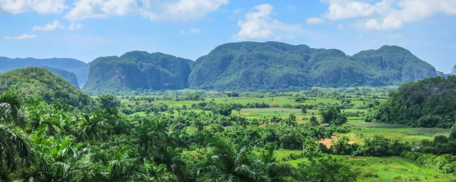 Vinales - All About Tobacco Plantations in Cuba