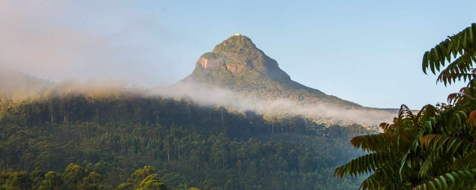 Sri Pada - The Sacred Adam’s Peak - All You Need to Know About the Pilgrimage