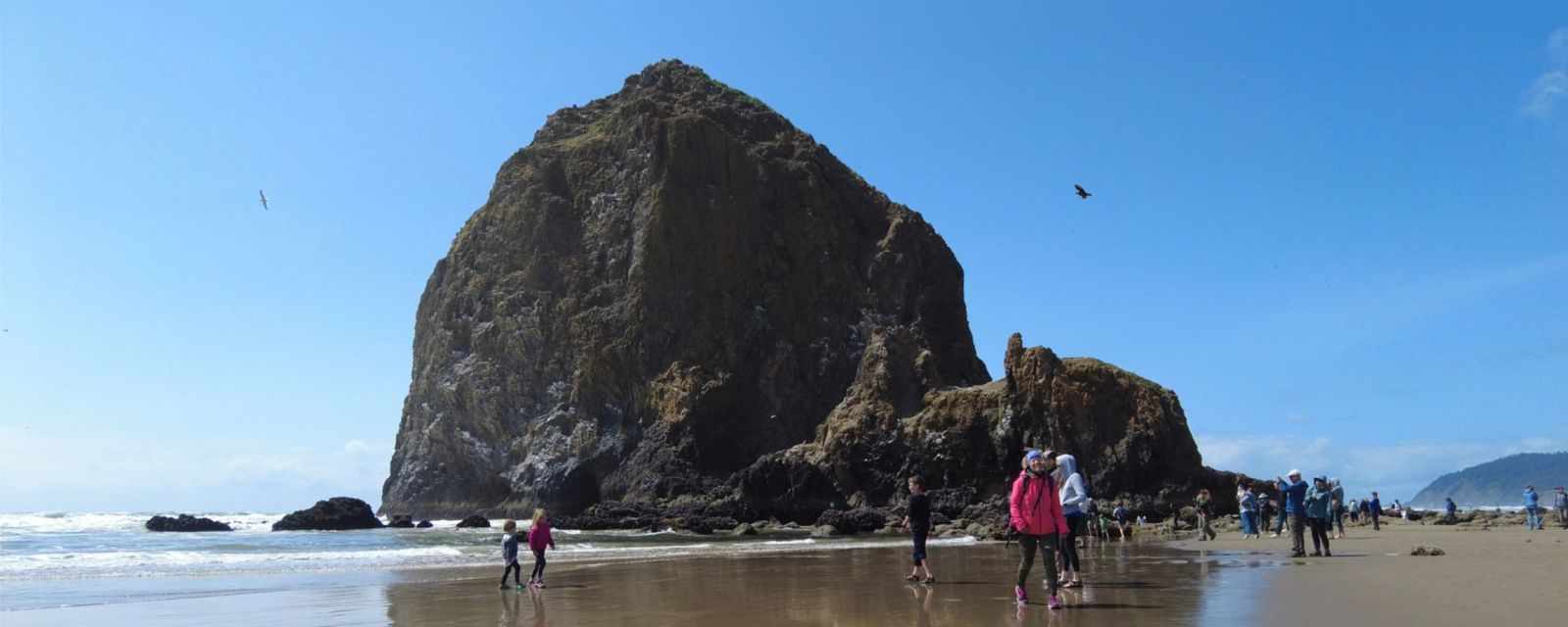 Haystack Rock in Cannon Beach - Tufted Puffins and Tide Pools in Oregon