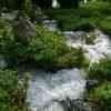 Krka Waterfall 