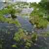 Krka Waterfall 