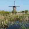 Windmills of Kinderdijk 