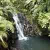 Waitakere Range