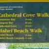 Cathedral Cove