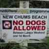 New Chums Beach