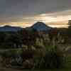 Mount Ruapehu in the distance at sunset