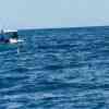 Tour boat and snorkeler