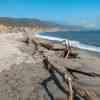 Andrew Molera State Park