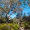 Cobler Rocks - Bay of Fire