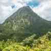 Morne Trois Pitons Trail