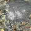 Boiling Lake