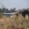 Okavango