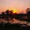 Okavango
