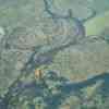 Okavango