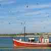 Fisher boat and birds