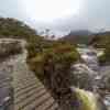 Cradle Mountain N.P.