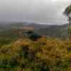 Cradle Mountain N.P.