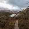 Cradle Mountain N.P.