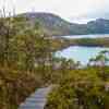 Cradle Mountain N.P.