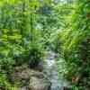 Rainforest walk to Emerald Pool