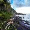 Wavine Cyrique Beach and Waterfall