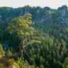 View from Bastei Bridge