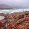 Freycinet 