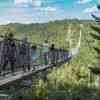 Geierlay Suspension Bridge