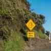 Koala Bear Sign Great Ocean Road