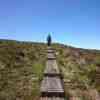 Glendalough 