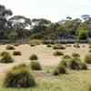 Kangaroo Island