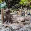 Galapagos Islands