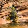 Hamersley Gorge