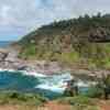 Red-footed Booby Colony