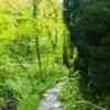 Lydford Gorge